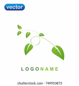 green leaf icon vector