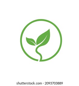 green  leaf  icon vector concept  design template web