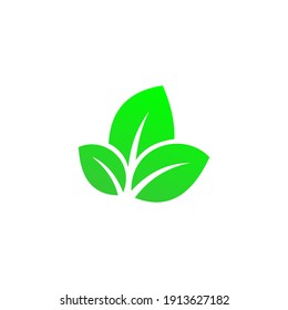 Green Leaf Icon Vector Design
