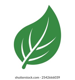 Diseño verde del Vector del icono de la hoja con un fondo blanco