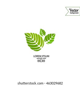 Green leaf icon. Vector eco symbol. Bio logo. Spa label.