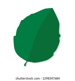 green leaf icon- vector illustration