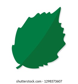 green leaf icon- vector illustration