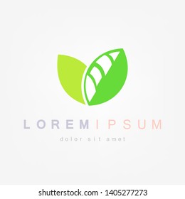 Green leaf icon. Vector illustration