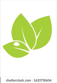 green leaf icon vector illustration