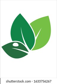 green leaf icon vector illustration