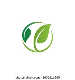 Green leaf icon, vector Illustration