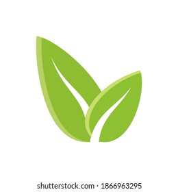 green leaf icon vector illustration design