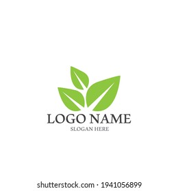 green leaf icon vector illustration template design