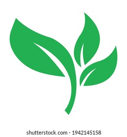 Green leaf icon. Vector illustration. Illustration for logo. Bio plant and tree floral forest concept design.