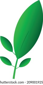 
Green Leaf Symbol, Vektorgrafik