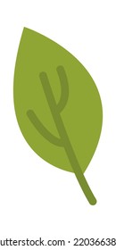 Green leaf icon. Vector illustration