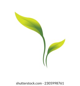 Green Leaf Icon Vector Illustration on white background