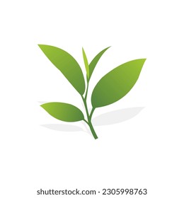 Green Leaf Icon Vector Illustration on white background