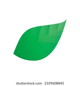 green leaf icon vector illustration logo design