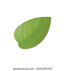 green leaf icon vector illustration logo design