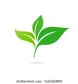 Green Leaf Icon Vector Illustrations. Ecology icon. Eco-icon.