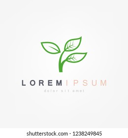 Green Leaf Icon Vector Illustrations