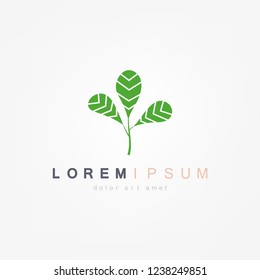 Green Leaf Icon Vector Illustrations