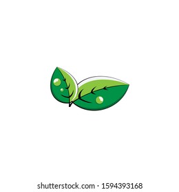 Green Leaf Icon Vector Illustrations