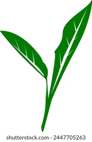 Green Leaf Icon Vector. Natural Eco Vegan Bio Label Design. Tropical Jungle Plant. Exotic Green Leaf Illustration isolated on White Background. Eco Friendly Vegan Bio Label Design. Jungle Theme.