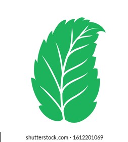 green leaf icon, leaf vector, nature, leaf icon illustration on white background