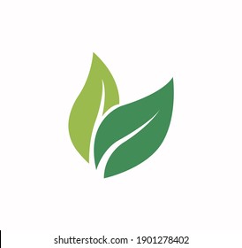 Green leaf icon vector on a white background