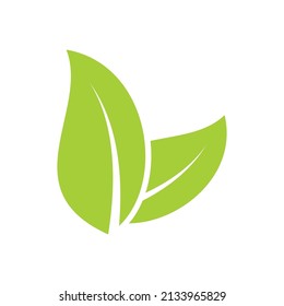 green leaf icon vector on white background