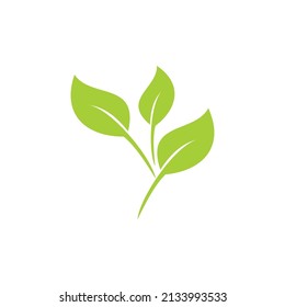 green leaf icon vector on white background