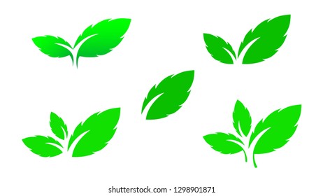 Green Leaf icon  vector set. Eco green color leaf vector logo flat icon set. Isolated leaves shapes on white background. Bio plant and floral forest concept design -vector.
