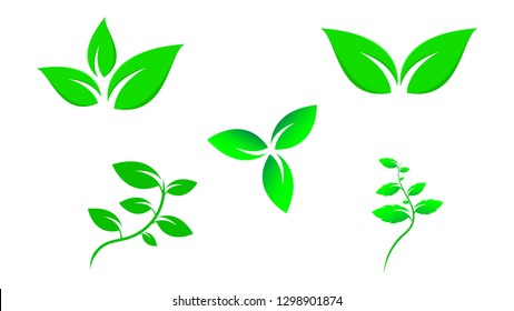 Green Leaf icon  vector set. Eco green color leaf vector logo flat icon set. Isolated leaves shapes on white background. Bio plant and floral forest concept design -vector.
