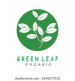 Green leaf icons design simple