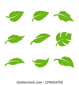 green leaf icons design template vector - Vector