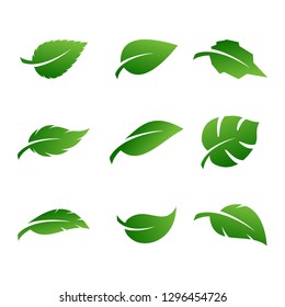 green leaf icons design template vector - Vector