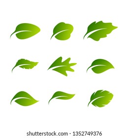 green leaf icons design template vector