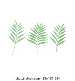 green leaf icons design template vector - 
