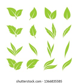 green leaf icons design template vector 
