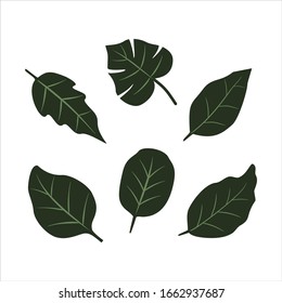 green leaf icons design template vector
