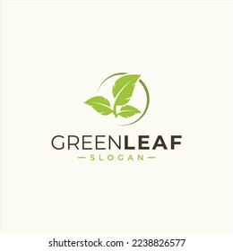 green leaf icons design template vector
