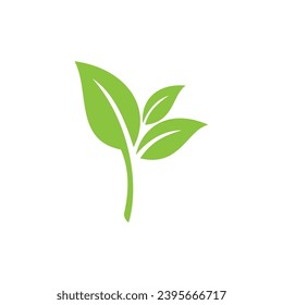 Green leaf icons. Leaves icon on isolated background. Collection green leaf. Elements design for natural, eco, vegan, bio labels.