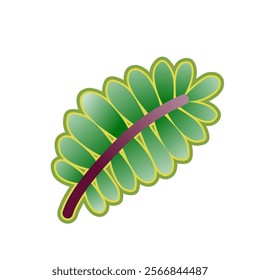 Green leaf icons. Leaves icon on isolated background. Collection green leaf. Elements design for natural, eco, vegan, bio labels, editing and design . Vector illustration