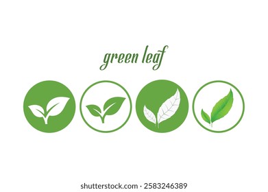 Green leaf icons. Leaves of trees and plants. Leaves icon.Elements design for natural, eco, bio, vegan labels. Vector illustration