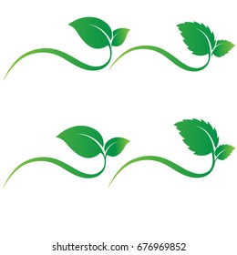 green leaf icons  on white background. Leaves logo vector illustration.