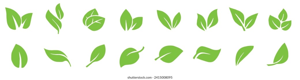 Green leaf icons set. Set of green leaf icons. Collection green leaf.