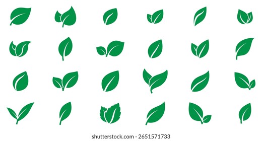 Green leaf icons set. Collection green leaf. Elements design for natural, eco, vegan, bio labels. Vector illustration isolated on white background