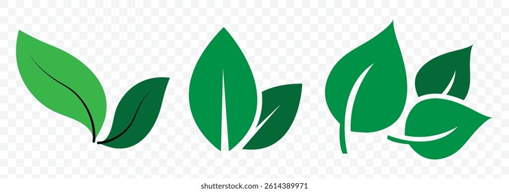 Green leaf icons set. Eco leaves collection. Elements design for natural, eco, vegan, bio labels. Vector illustration