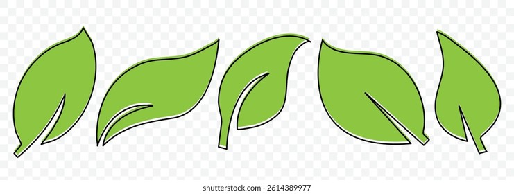 Green leaf icons set. Eco leaves collection. Elements design for natural, eco, vegan, bio labels. Vector illustration