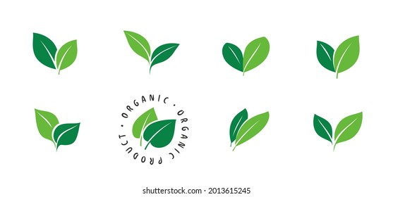 Green leaf icons set. Ecology, organic product symbol isolated