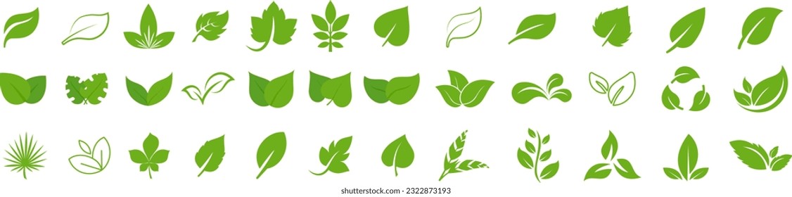 conjunto de iconos de hoja verde. Ecología de la hoja verde elemento vectorial icono, Icono de la hoja, ecología de la hoja verde elemento vectorial. Ilustración del vector