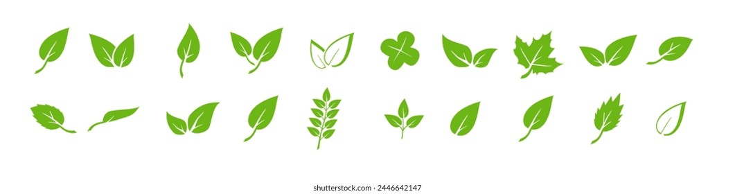 Green leaf icons set. Elements design for natural, eco, vegan. Leaves icon on isolated background. Collection green leaf. Vector